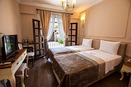 Deluxe Double or Twin Room with Garden View