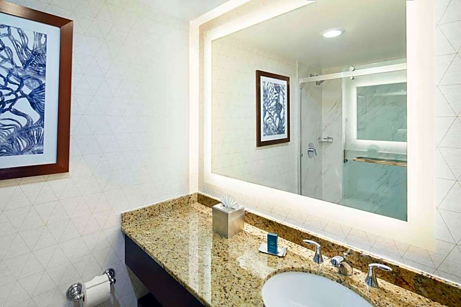 DoubleTree By Hilton Hotel Atlanta Roswell