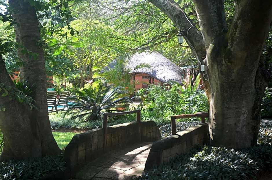 Bushbaby Lodge & Camping