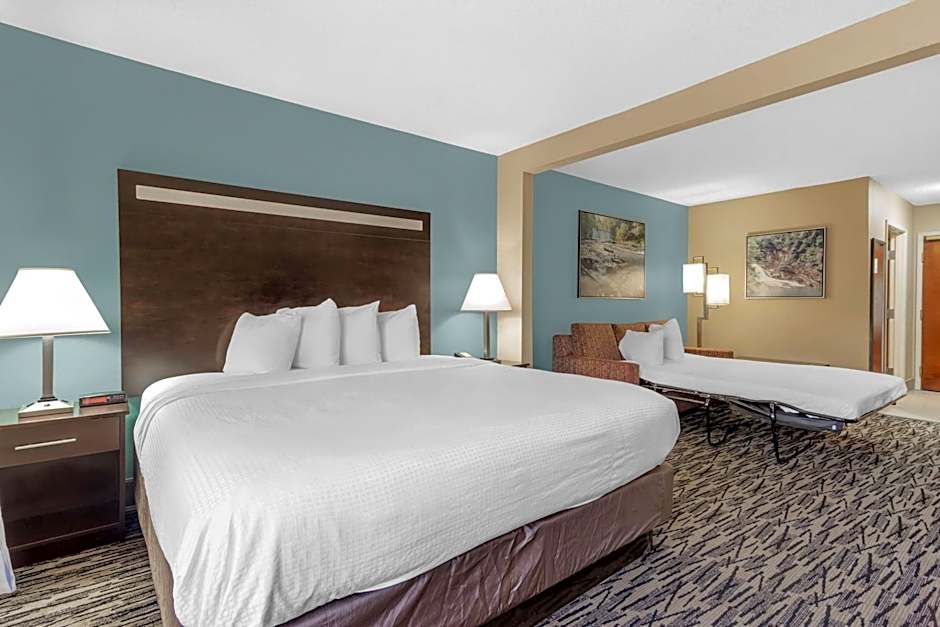 Best Western Plus McDonough Inn & Suites