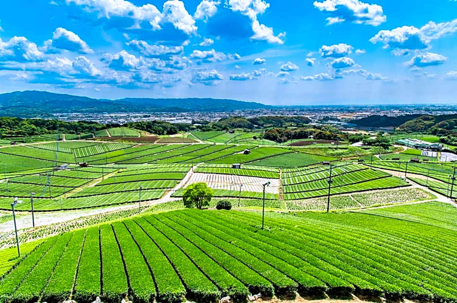 Greenpia Yame