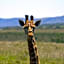 The Ranch House at African Safari Lodge