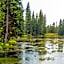 Timbers at Island Park