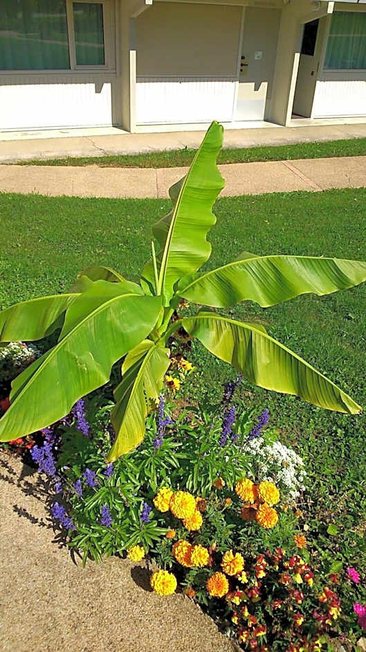 Hotel Campanile Besançon Nord Ecole Valentin