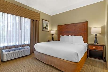 King Suite with Sofa Bed - Non-Smoking