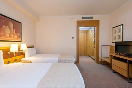 Standard Double Room with Two Double Beds - French Beds