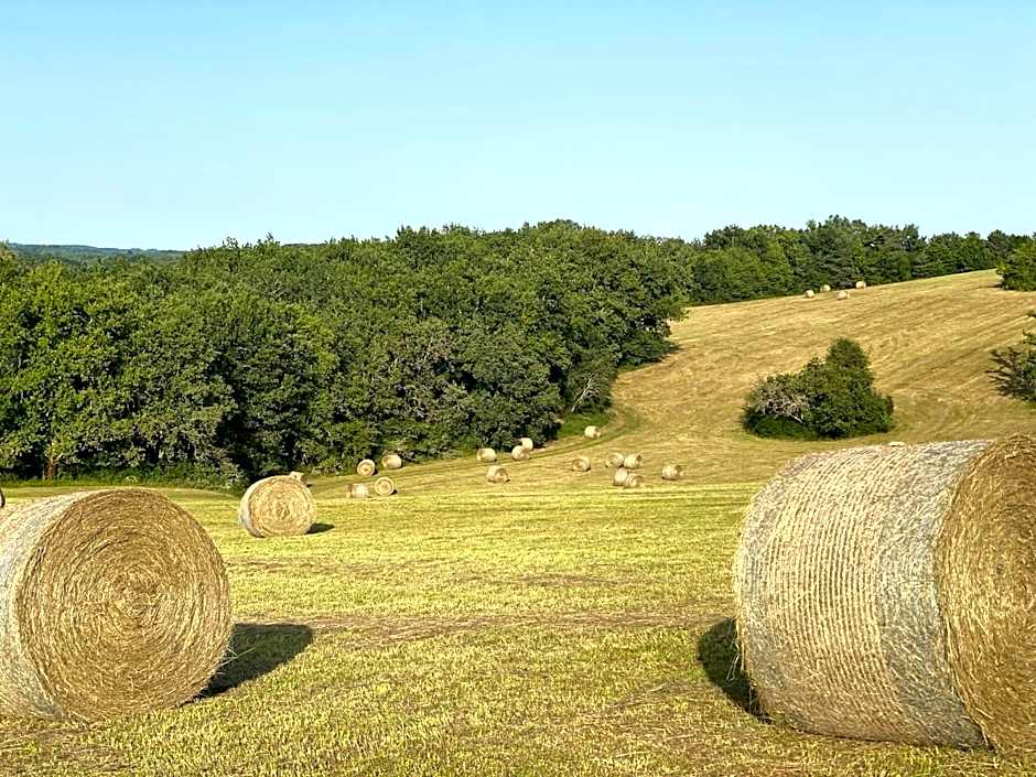 Domaine de Cazal - Chambres d'Hôtes avec piscine au cœur de 26 hectares de nature préservée