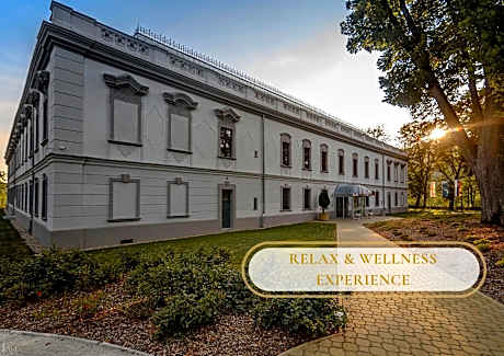 Hotel Gino Park Palace - Kaštieľ Orlové