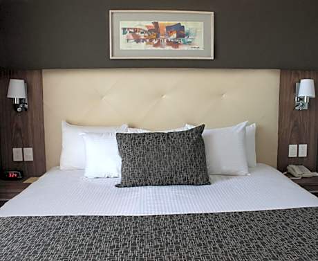 Casa Inn Business Irapuato