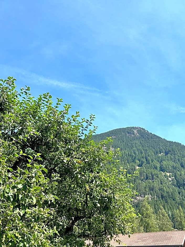 Gästehaus Schöpf Elsa