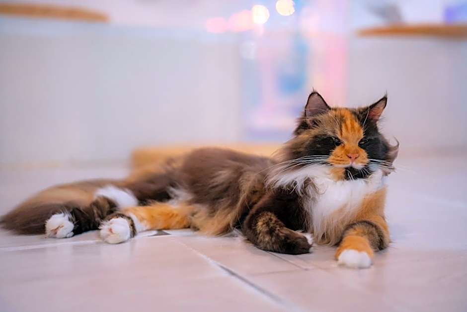 Patong Beach Side Hotel