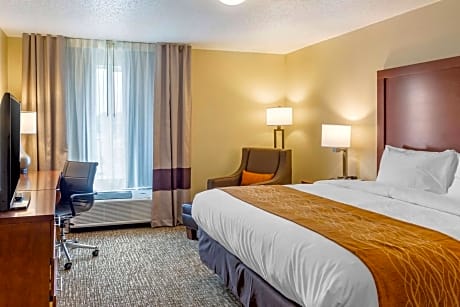 1 King Bed, Suite, Nonsmoking