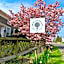 Black Walnut Bed and Breakfast