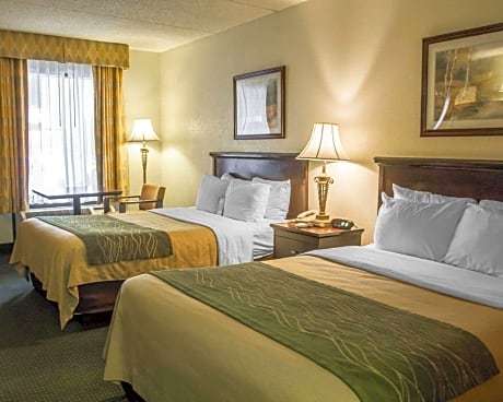 Standard Room, 2 Double Beds, Non Smoking