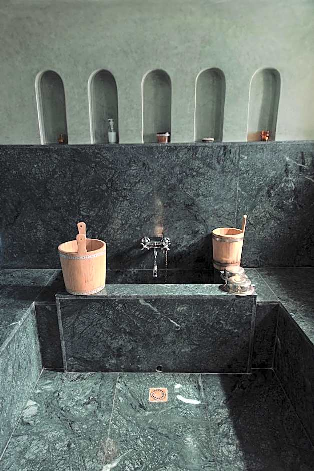 Riad Albatoul