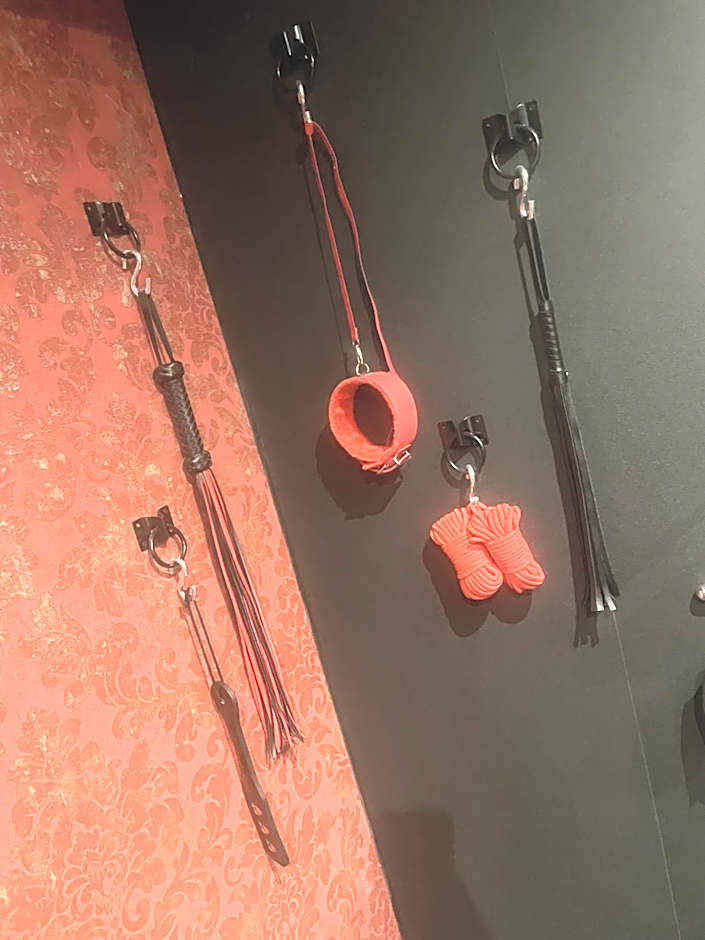 Désirs dune nuit - La séductrice