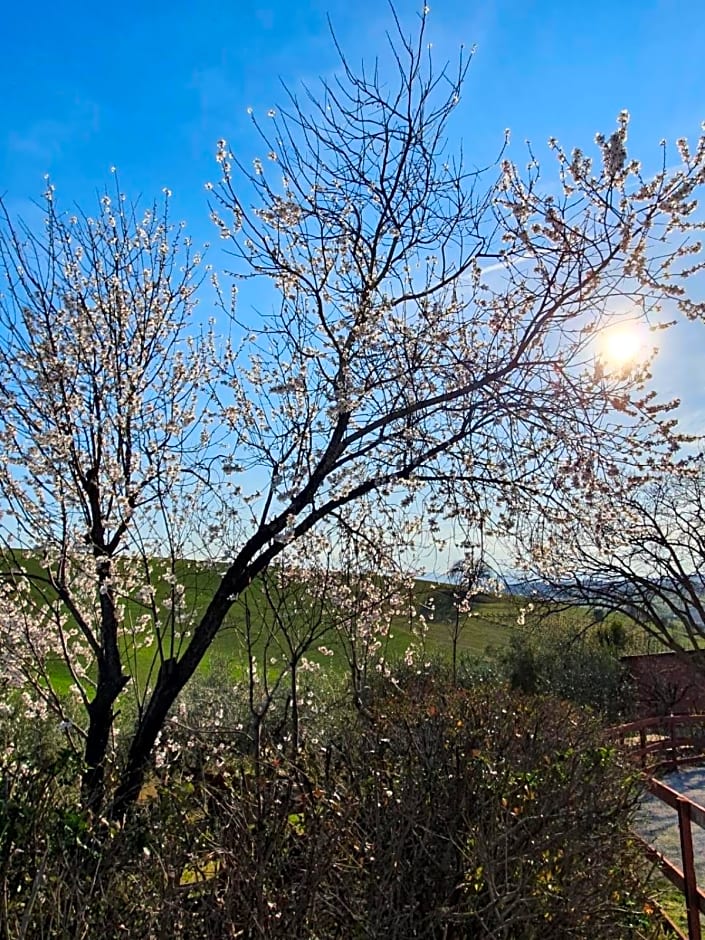 B&B Gli amici del tubarello