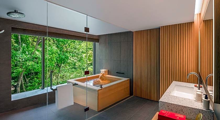 Shisui, a luxury Collection Hotel Nara