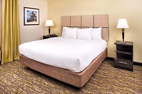 1 King 1 Bdrm Ste Comm Access