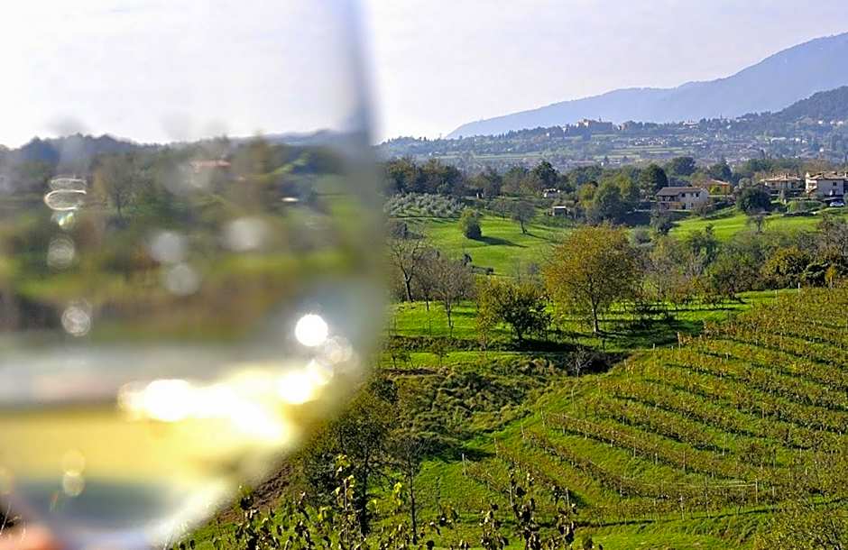 Wine Hotel San Giacomo Activity & Wellness