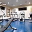 Best Western Premier Ashton Suites-Willowbrook