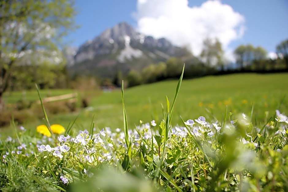 Grubhof Appartements