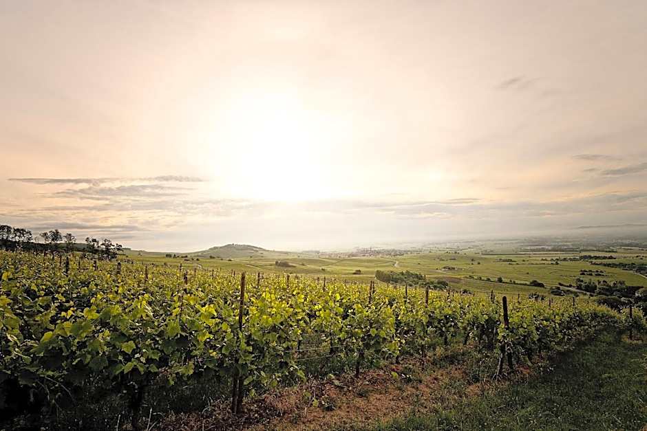 Pêche de Vigne & Spa