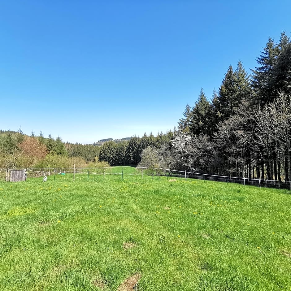 Auberge du Précontent