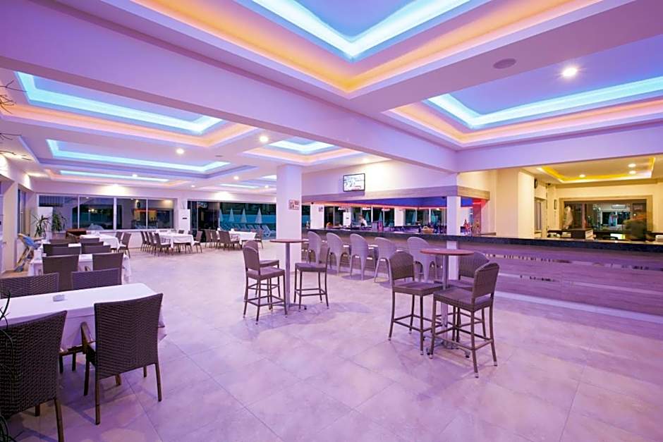 Catty Cats Garden Hotel