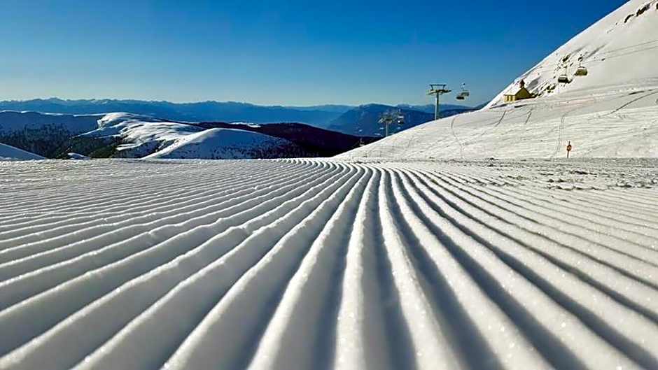 Guesthouse Pension Grafenstein