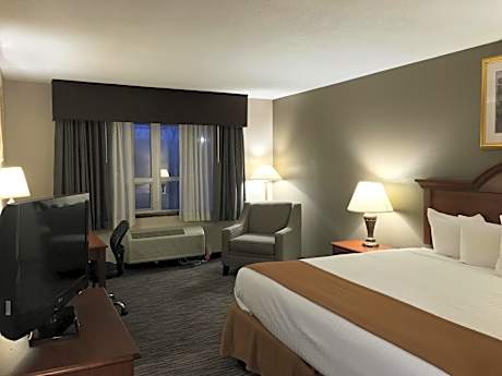 1 King Bed Non-Smoking Pet Friendly Room Microwave And Refrigerator Wi-Fi Full Breakfast