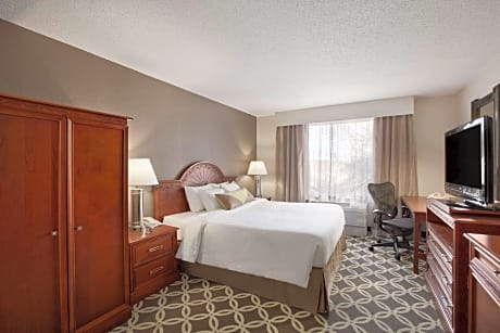 1 King Bed W/Sofabed And Walk-In Shower