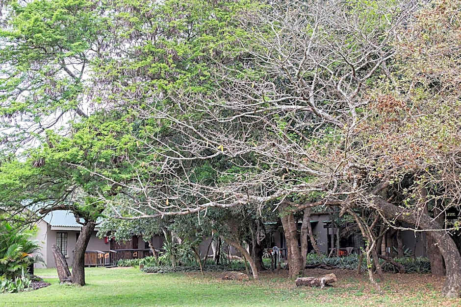 Emdoneni Lodge with Zululand Cat Conservation Project