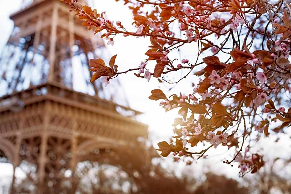 Timhotel Tour Eiffel