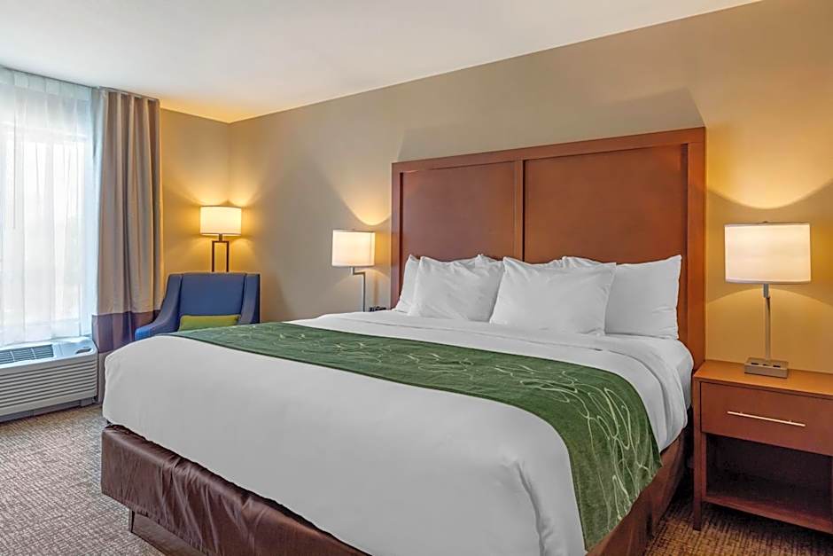 Comfort Inn & Suites Schenectady - Scotia