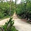 Tarsan Homestay