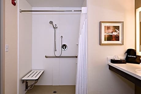 King Room with Roll-In Shower - Disability Access