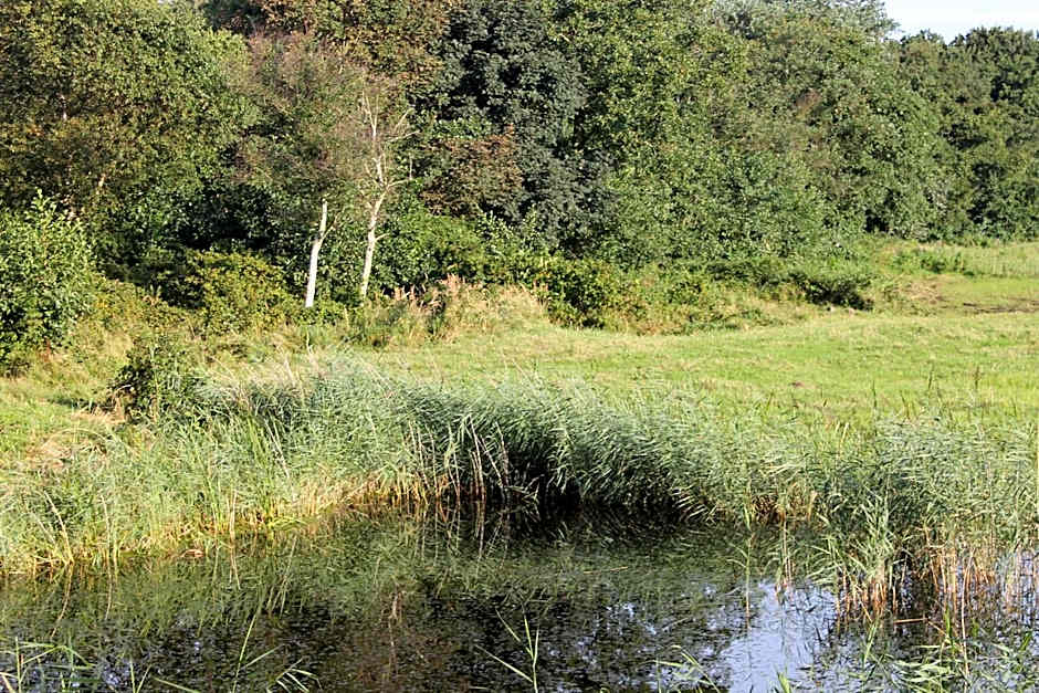 Hotel Studio Bosch Duin Strand