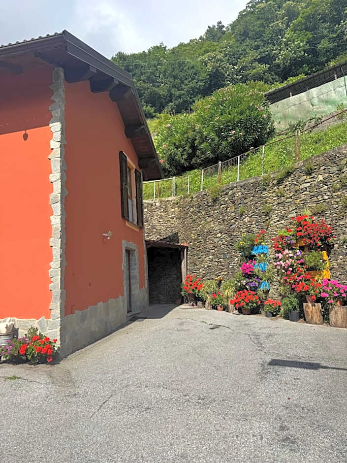 B&b Al Ciliegio Del Turchino