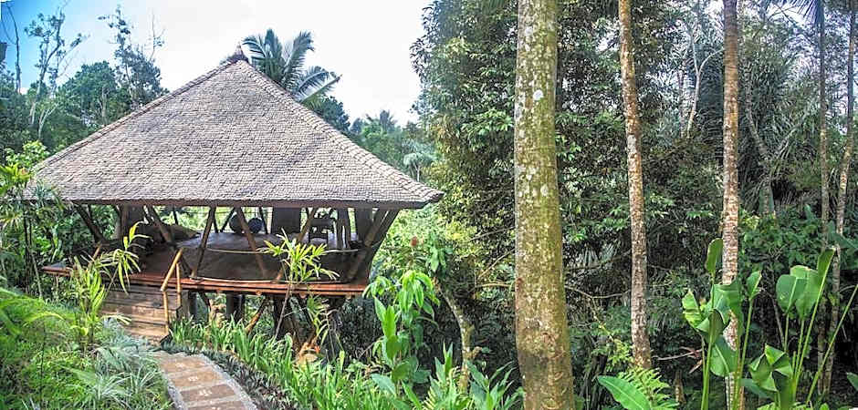 Alassari Plantation