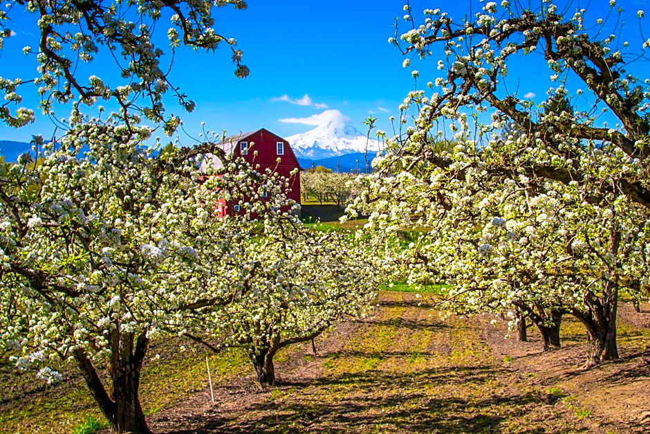 Columbia Cliff Villas