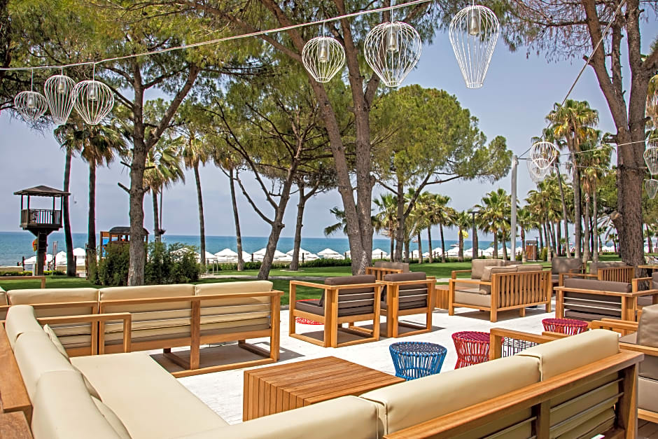 Acanthus and Cennet Barut Collectio