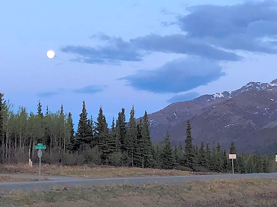 Denali Park Hotel