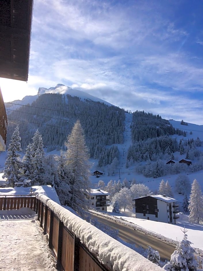 Chalet-Hôtel du Borderan