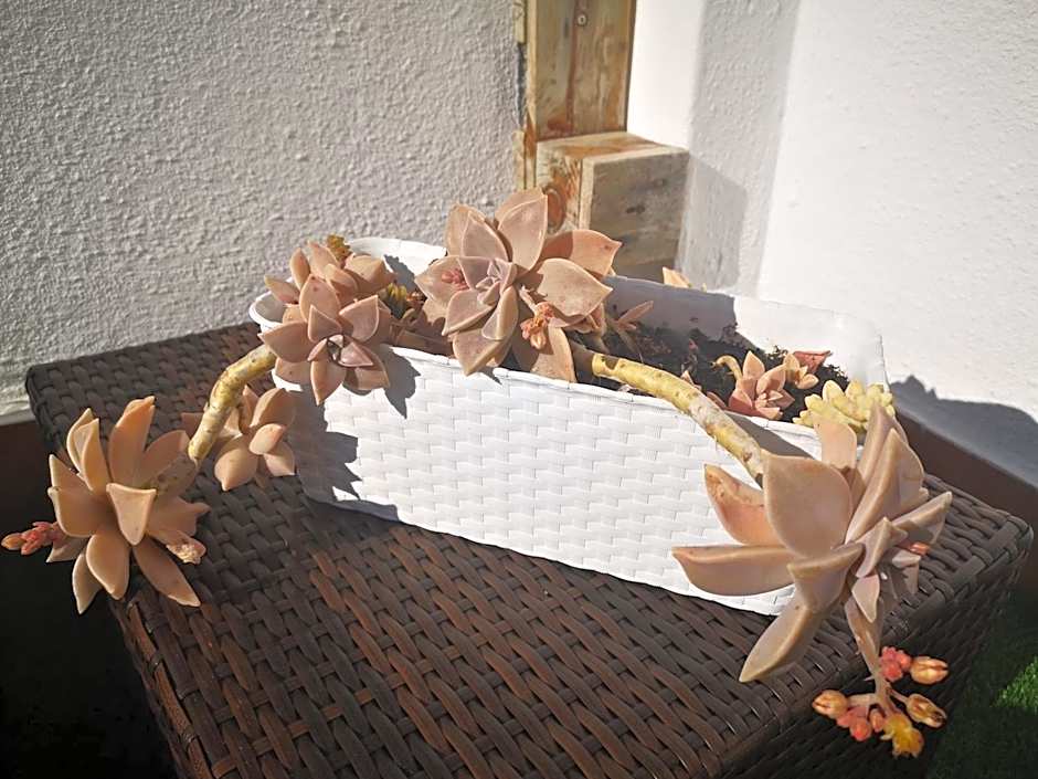 Family Surf Home - Hostel