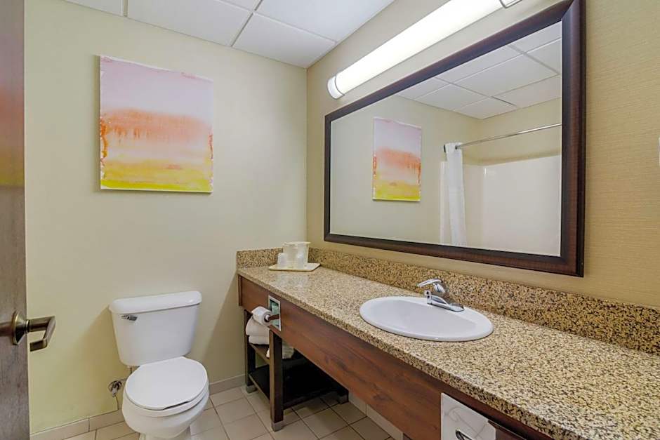 Comfort Inn Bismarck