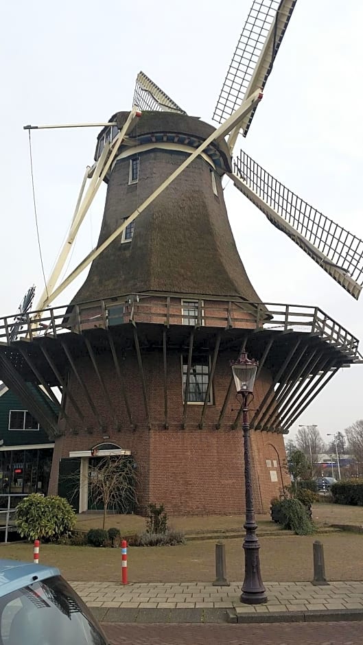 Terrace Apartment Cyclades