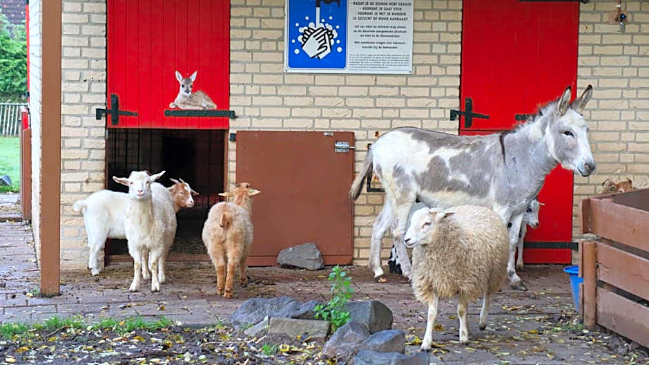 Het Huys Ewijk mooi luxe en een laadpaal