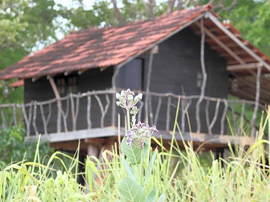 Eagle's Wings Guest House