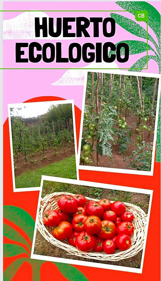 San Román de Escalante